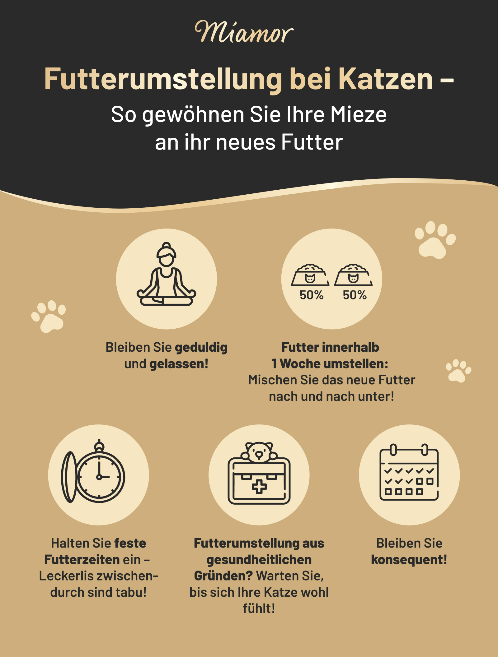 Infografik von Miamor zum Thema Futterumstellung