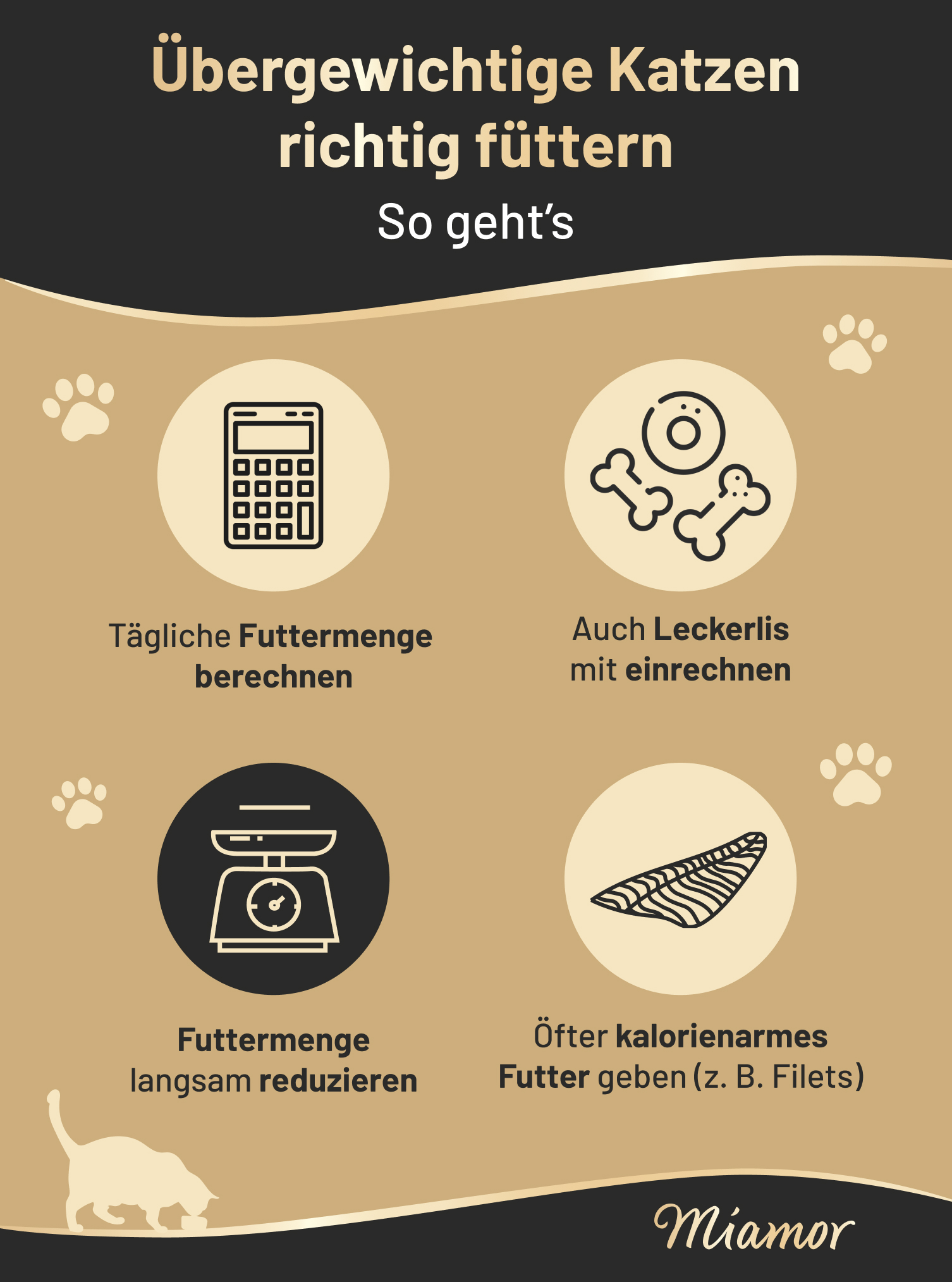Infografik von Miamor zur Fütterung von übergewichtigen Katzen
