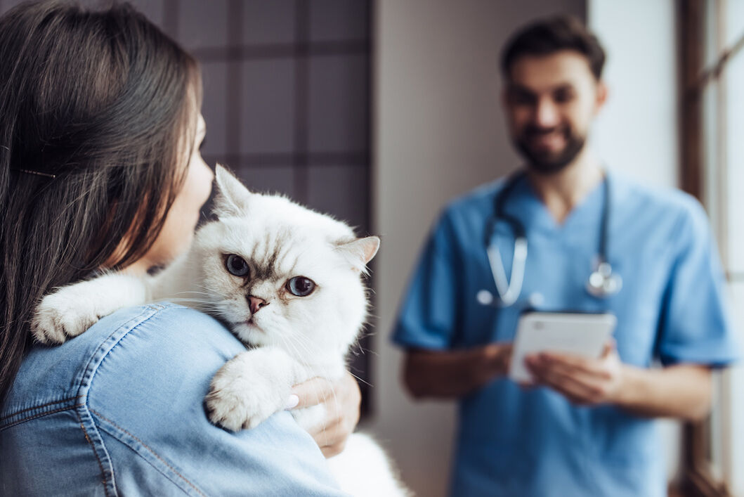 Eine Katze wird von einer Frau zum Tierarzt getragen.