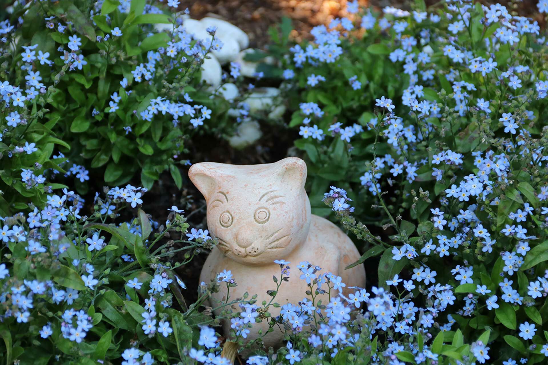 Eine Keramikkatze inmitten von blühenden Vergissmeinnicht.
