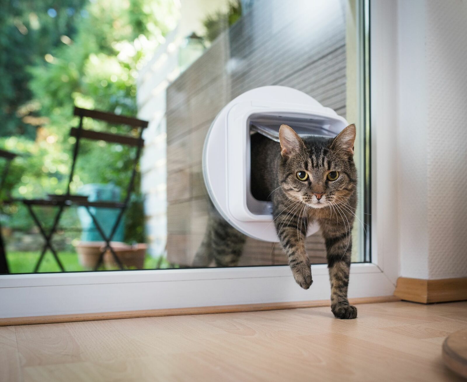 Eine Katze steigt durch eine Katzenklappe.