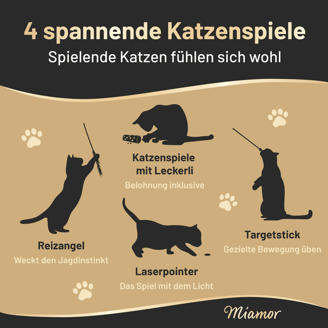 Infografik von Miamor zum Thema 4 Spiele für Katzen