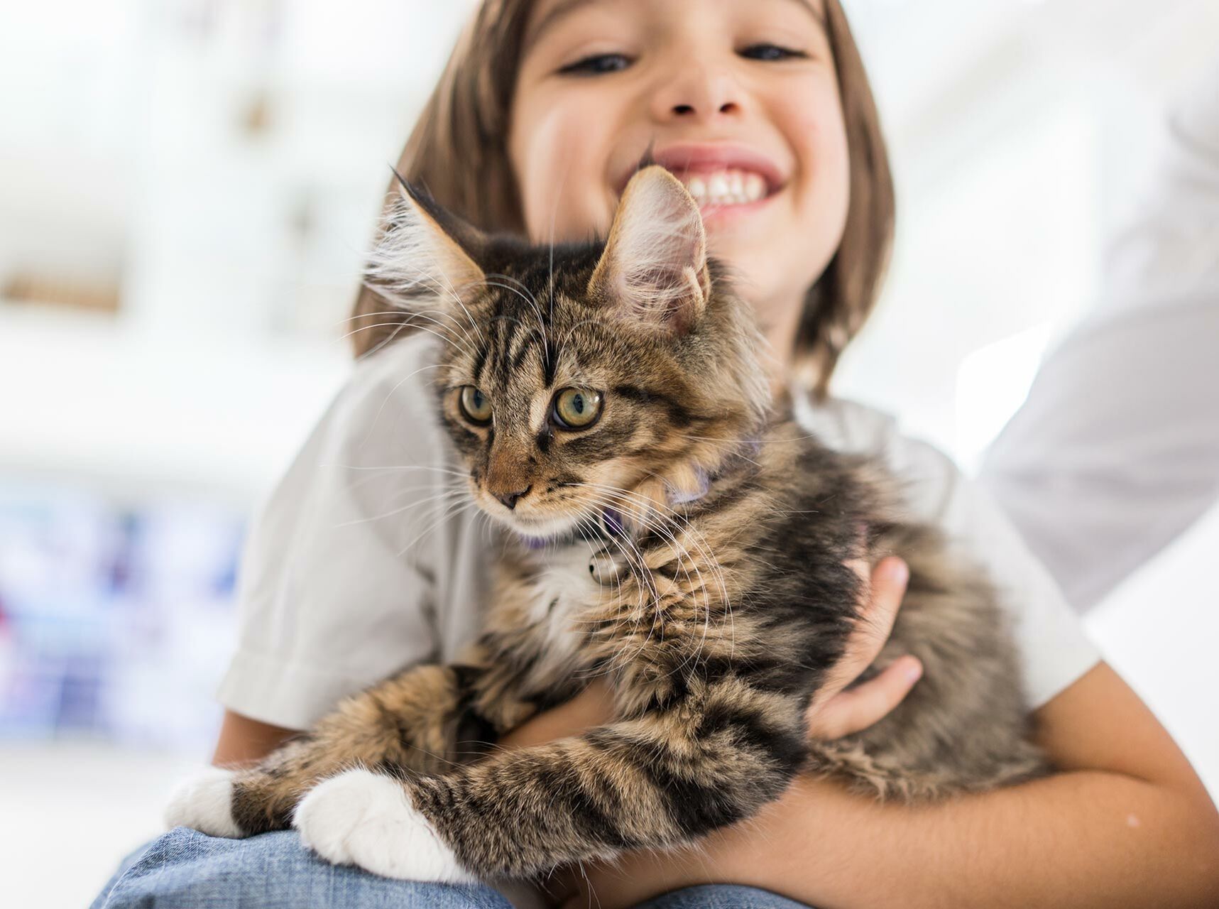 Ein kleines Mädchen hält lächelnd eine Katze auf dem Arm.