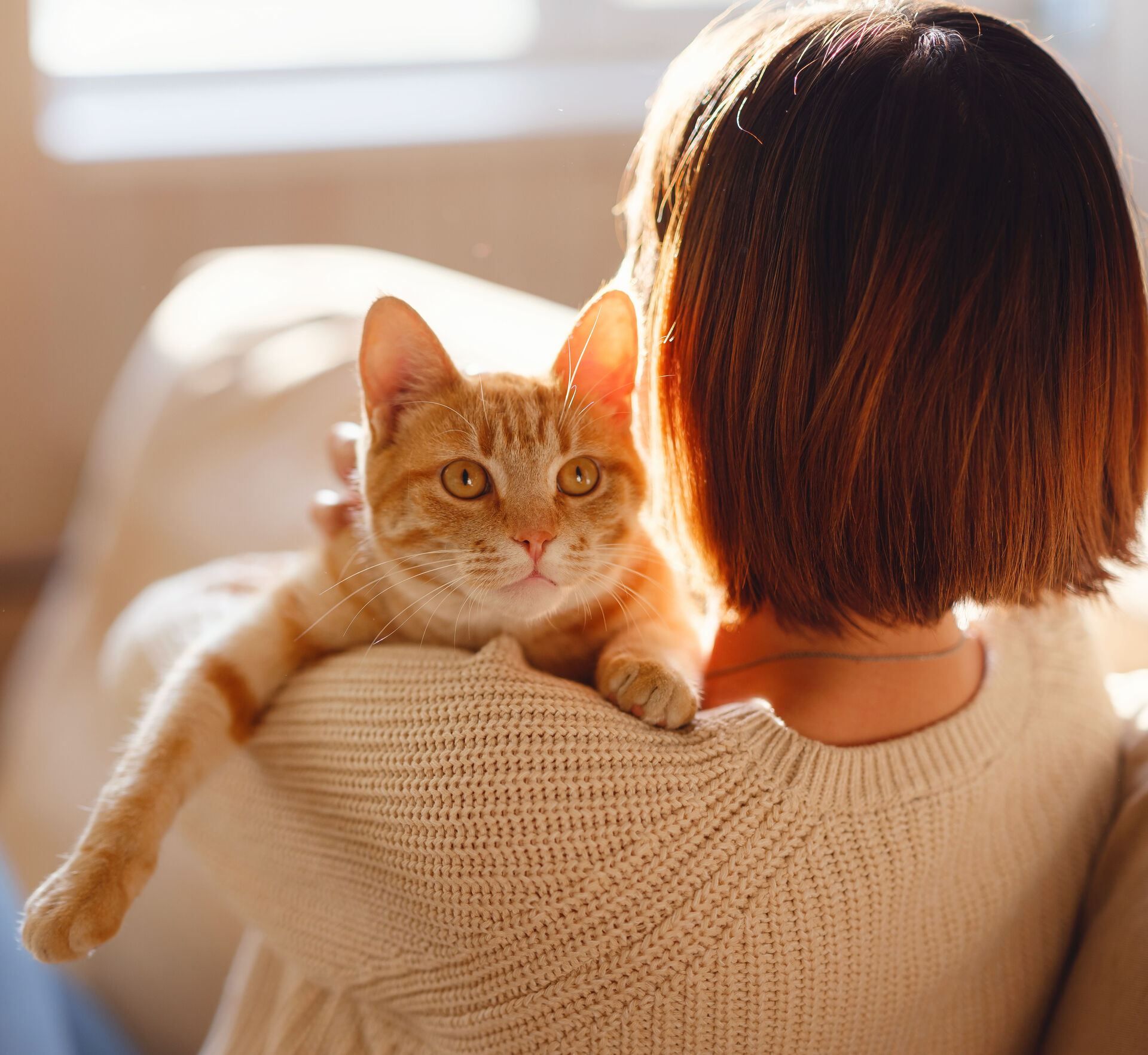 Junge Frau, welche von hinten zu sehen ist, hält eine rote Katze auf dem Arm.