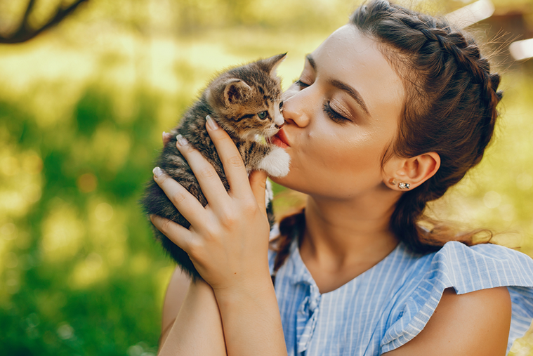 Nachhaltig mit Katzen