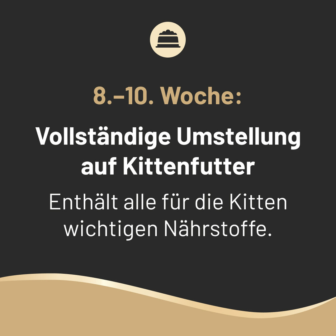 Slide 4: 8. bis 10. Woche vollständige Umstellung auf Kittenfutter