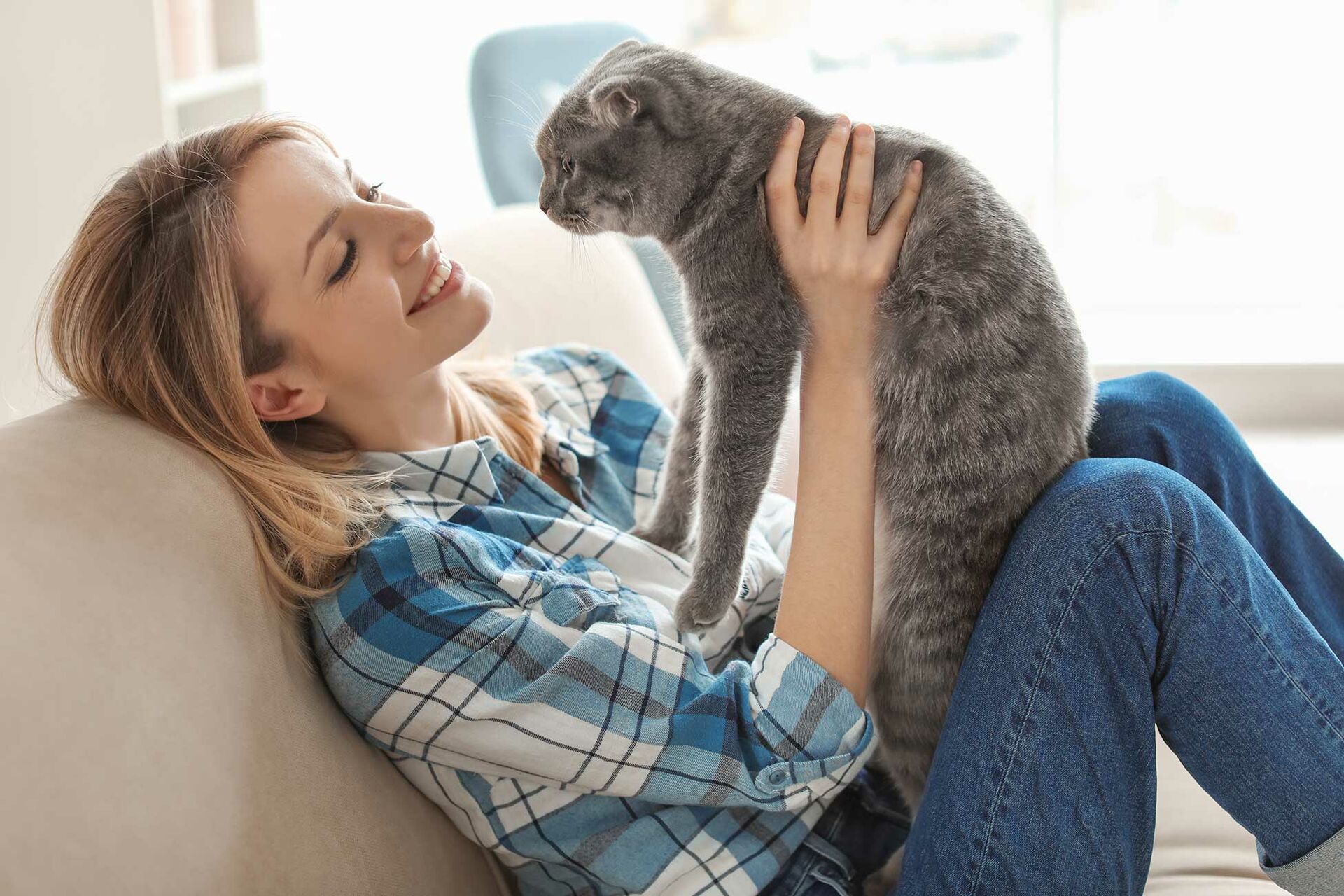 Eine Katze sträubt sich, von einer Frau hochgehoben zu werden.