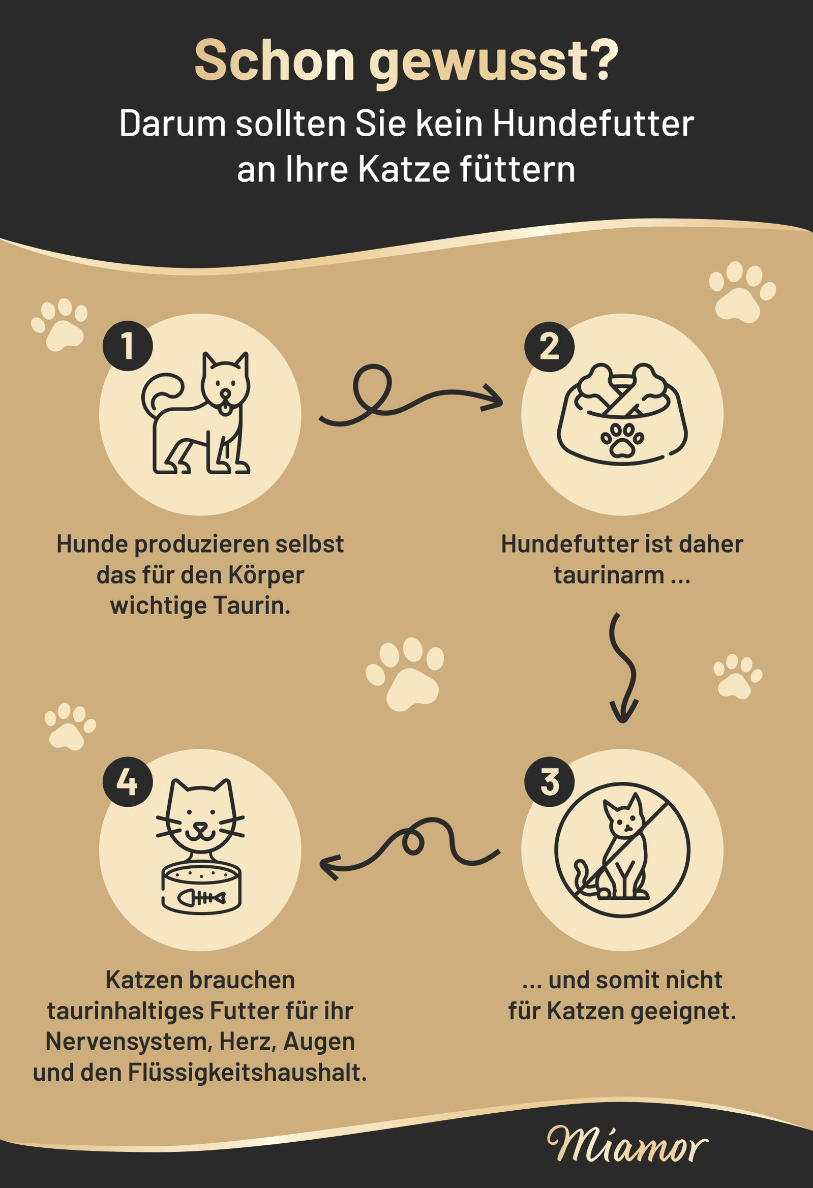 Infografik "Taurin für Katzen" von Miamor