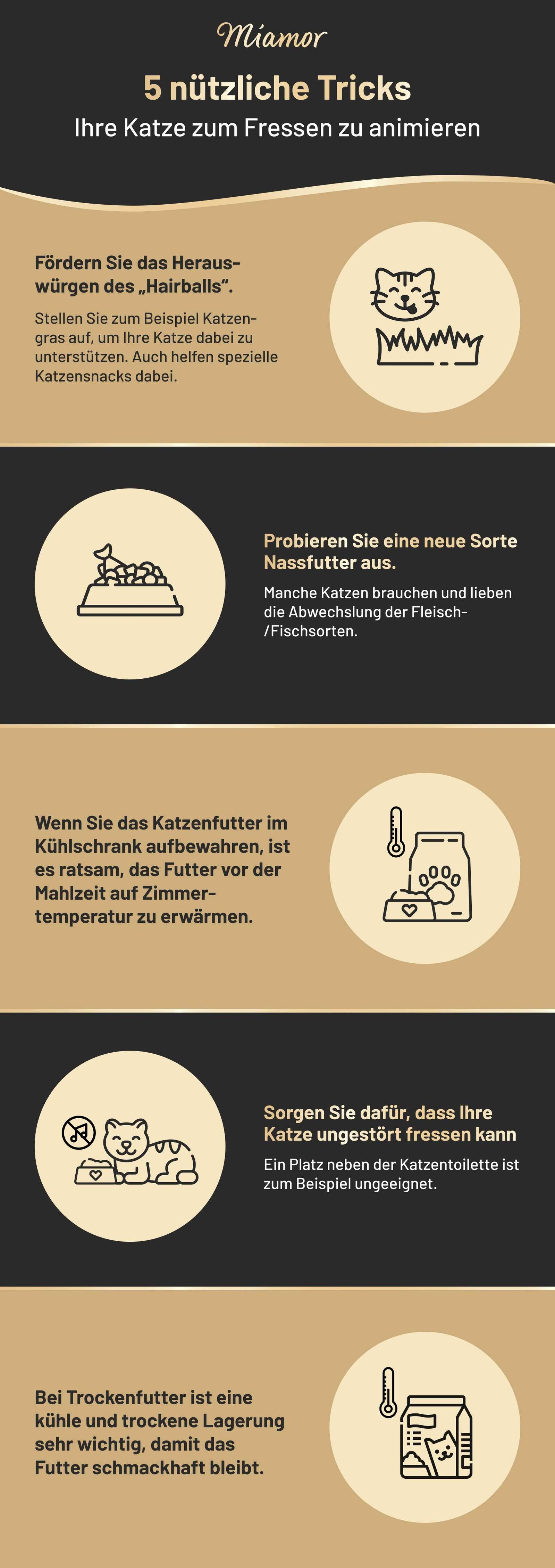 Infografik Katze zum Fressen animieren