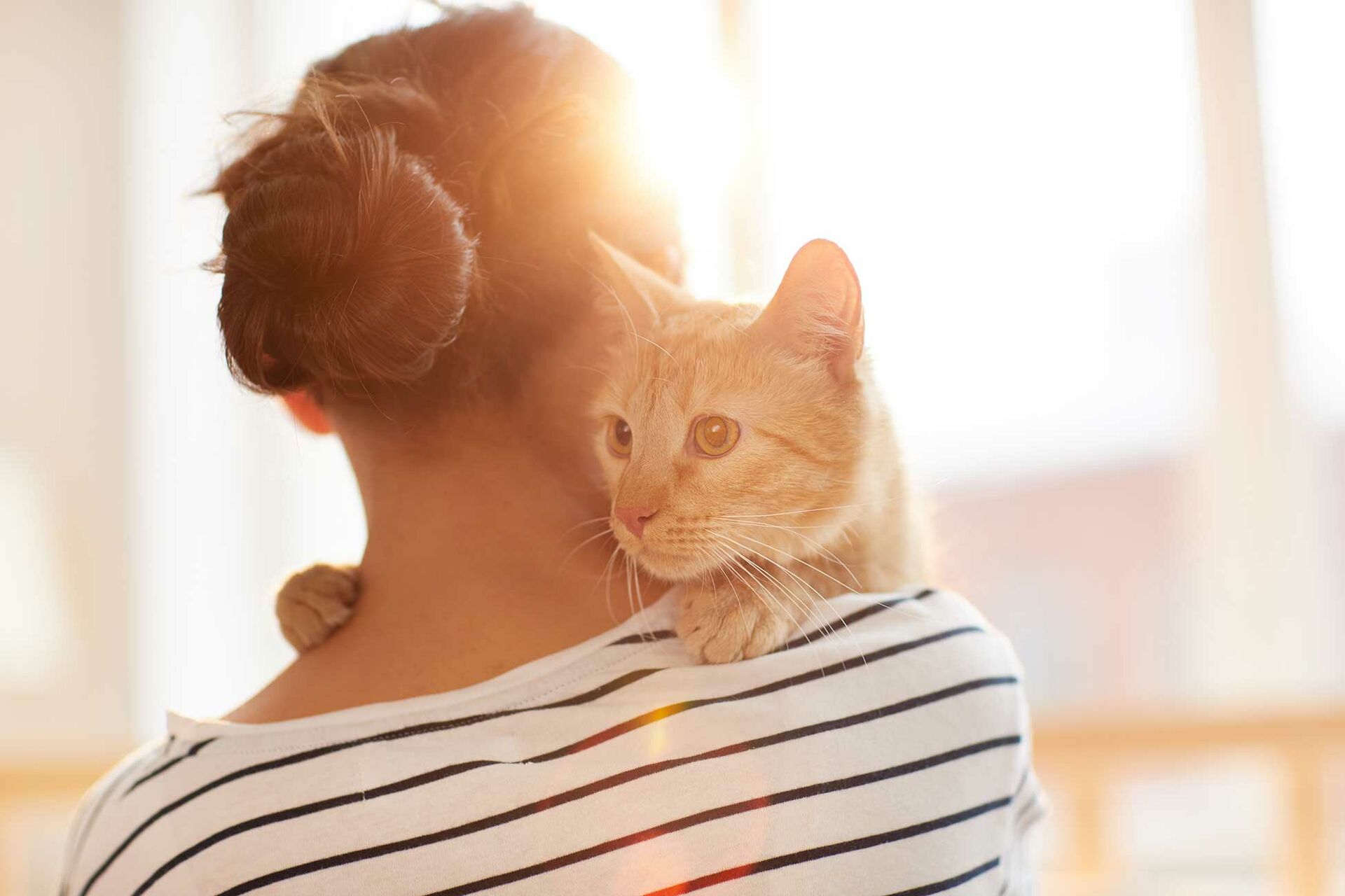 Eine Katze sitzt auf der Schulter einer Frau und guckt aufmerksam nach hinten.