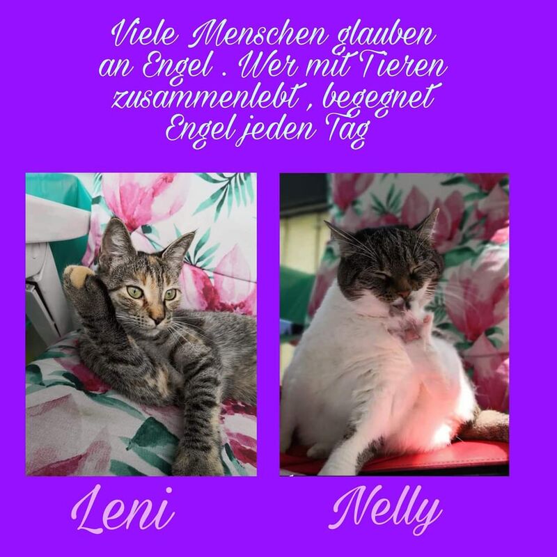Nelly und Leni  von Heike  E.