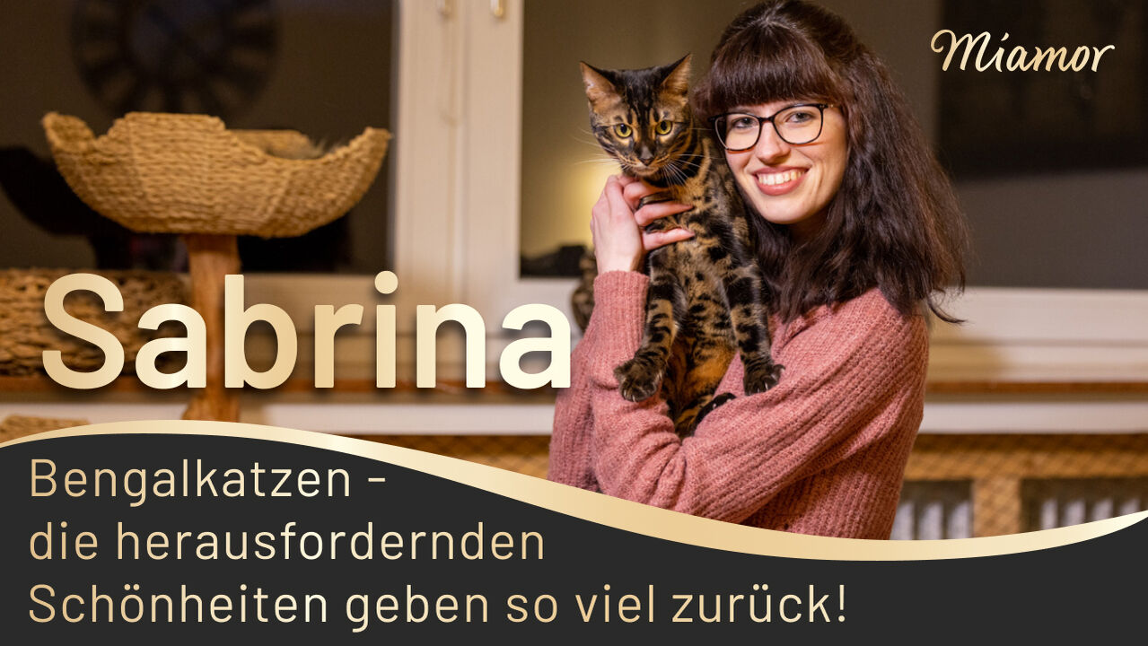 YouTube Thumbnail von Miamor mit Sabrina und ihren Bengalkatzen