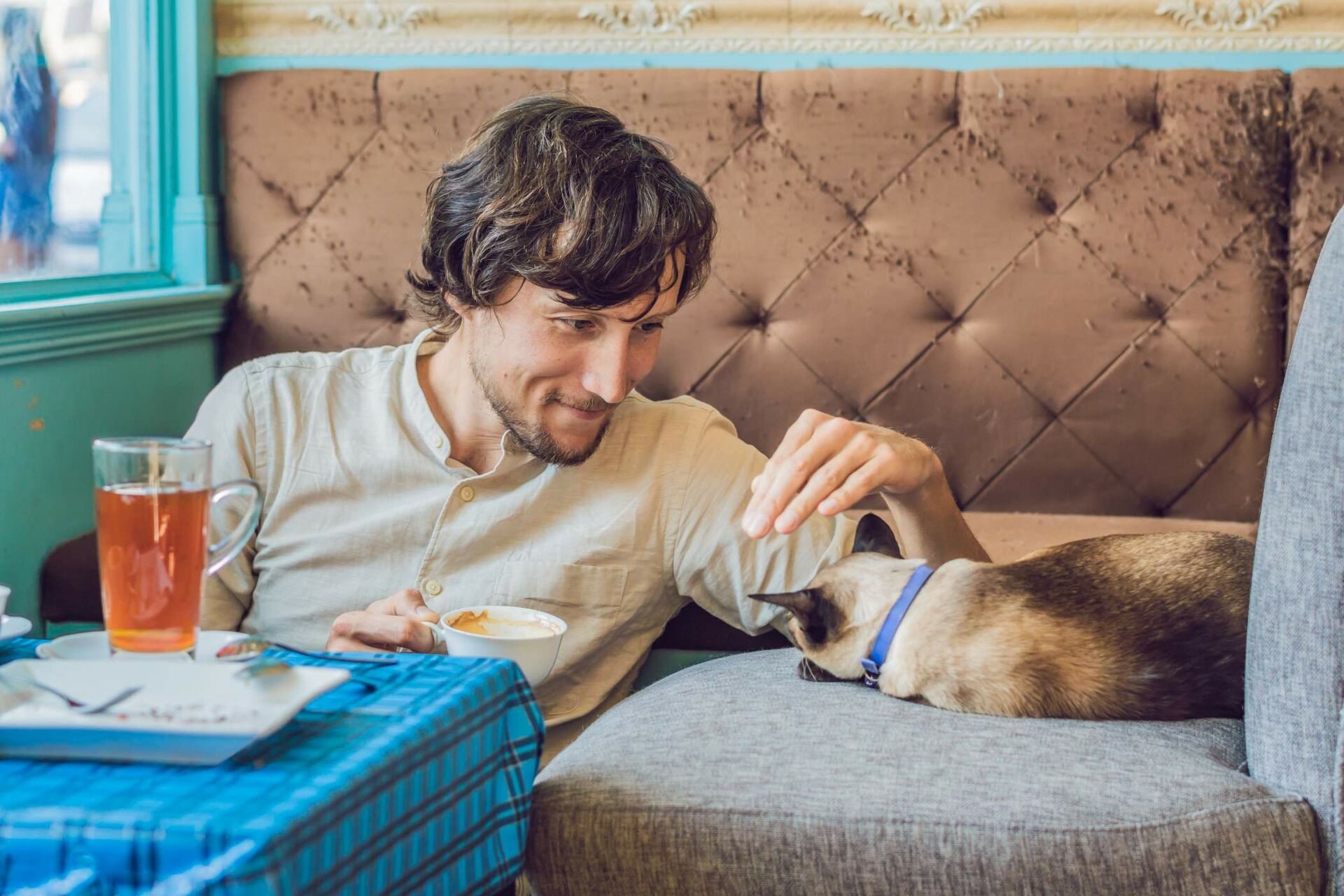 Ein Mann sitzt im Katzencafe und streichelt eine Katze am Kopf.