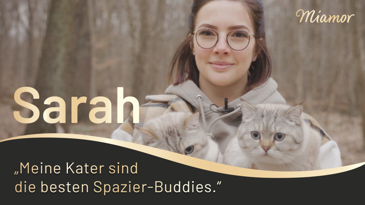 YouTube Thumbnail von Miamor mit Sarah und ihren Katzen