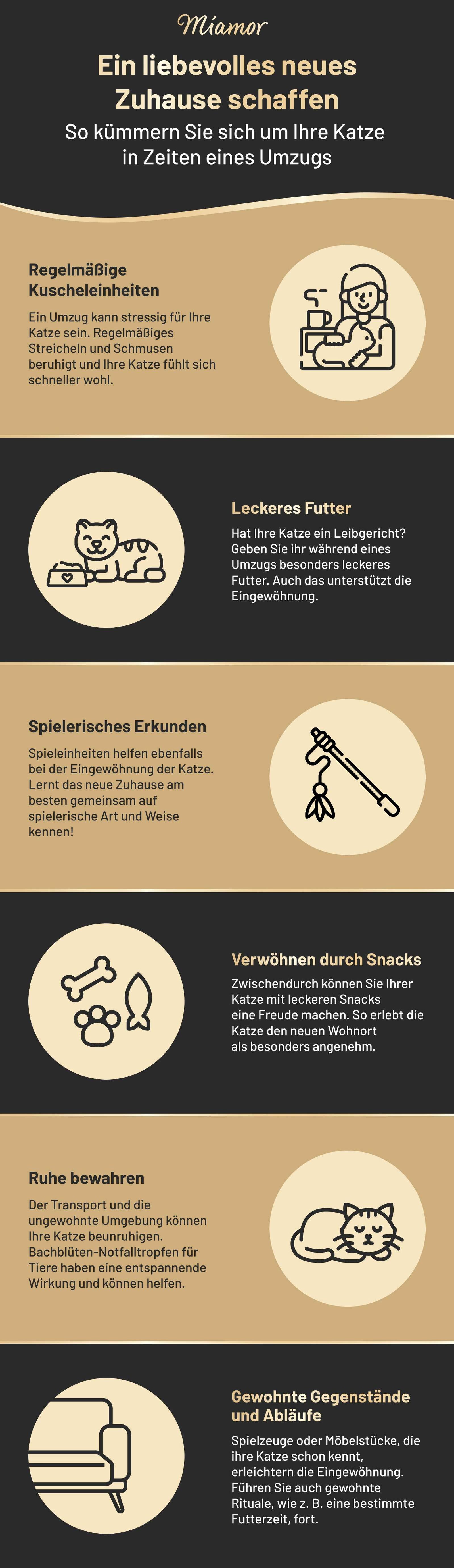 Infografik über Umzug mit der Katze.