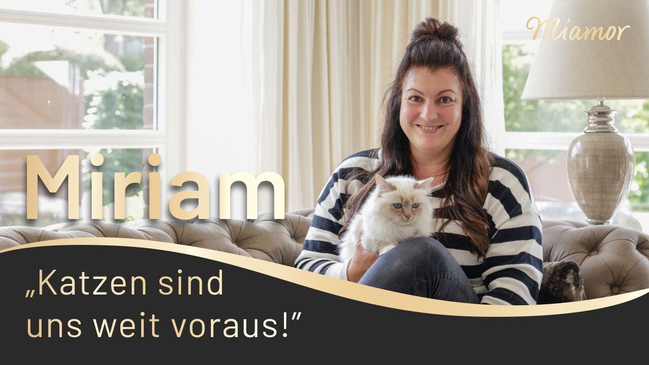 YouTube Thumbnail von Miamor mit Miriam und ihren Heiligen Birma Katzen