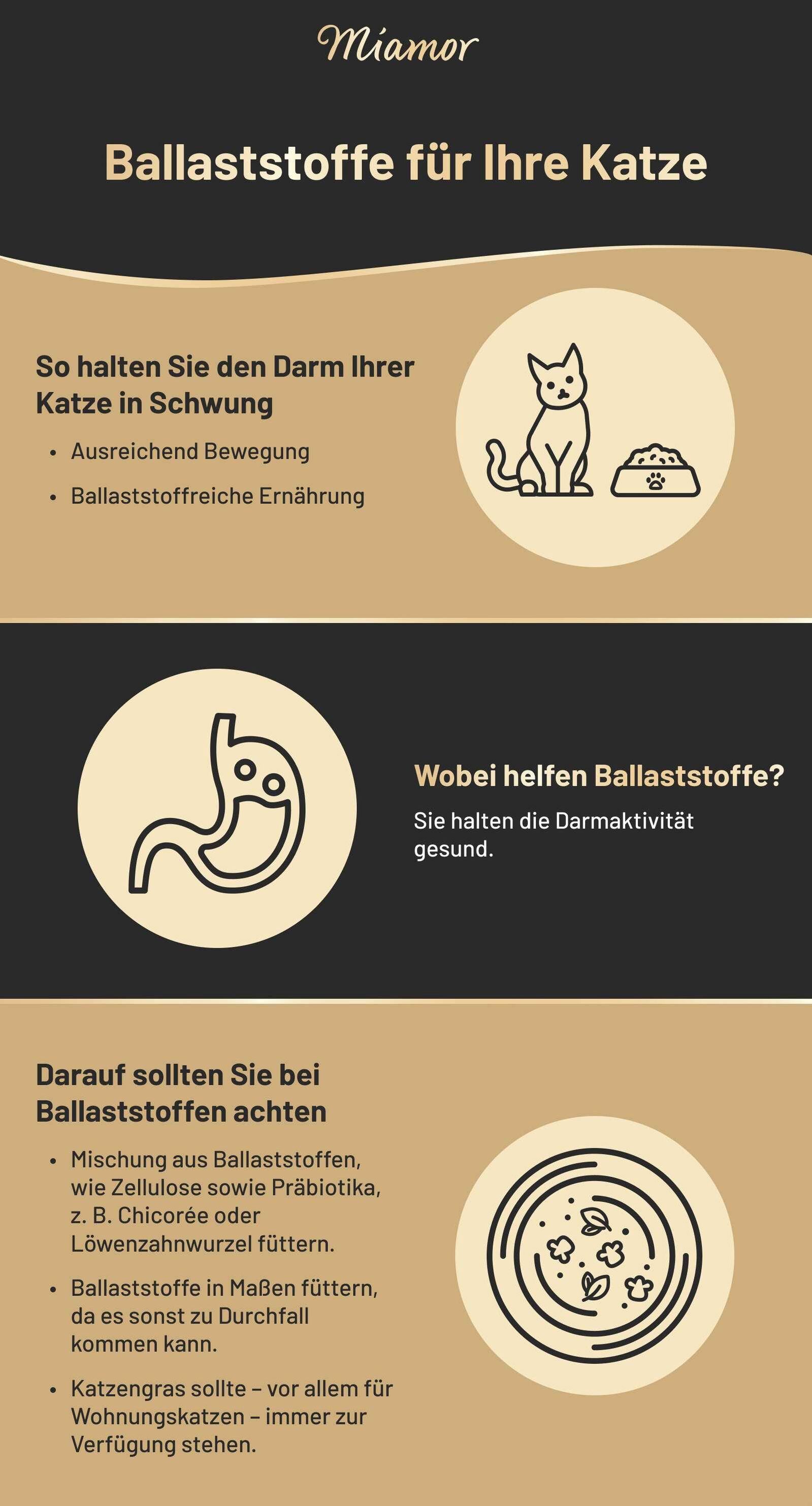 Infografik über Ballaststoffe für Katzen.