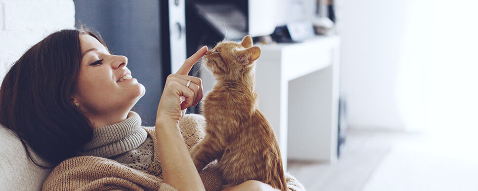 Eine Frau liegt auf einem Sofa und hat eine kleine Katze auf dem Arm. 