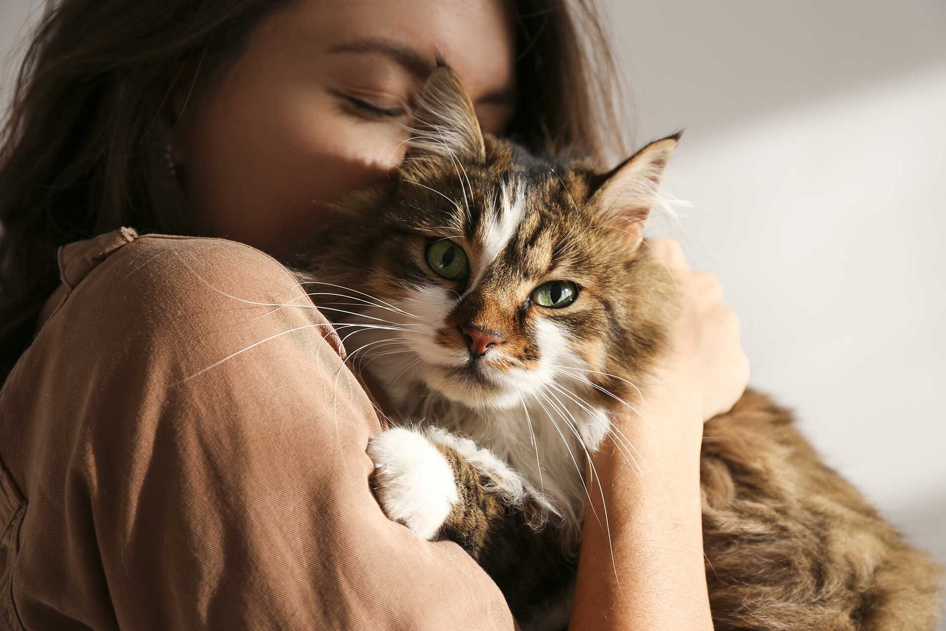 Kuscheln mit Katze – wie viel Nähe ist gut?