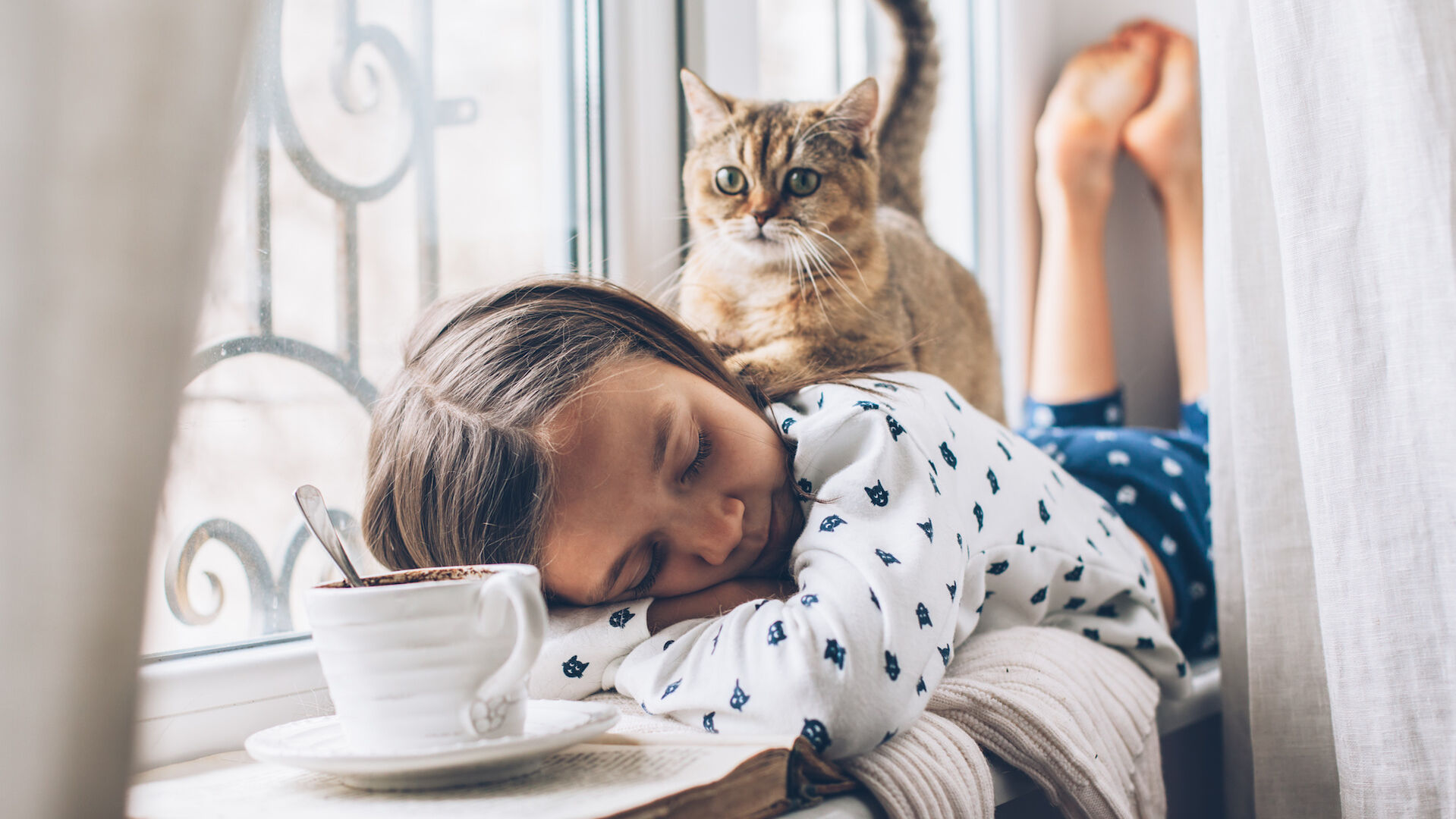 Katze für Kinder