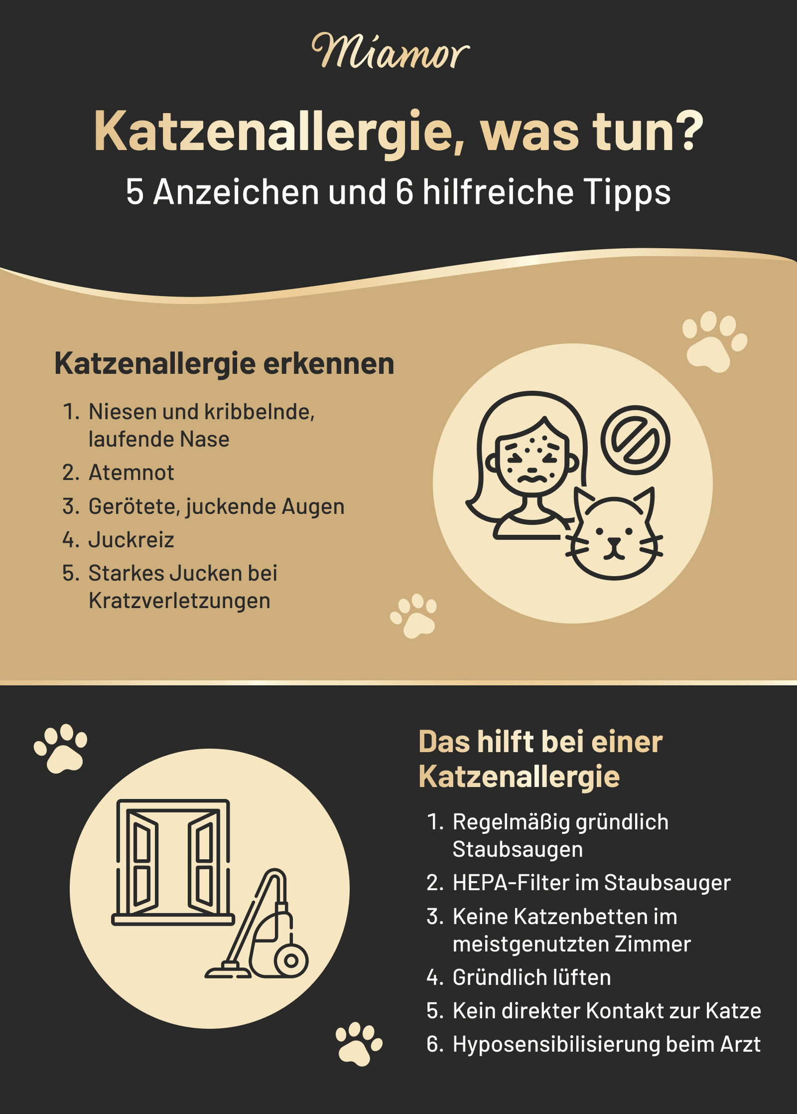 Infografik von Miamor zum Thema Katzenallergie