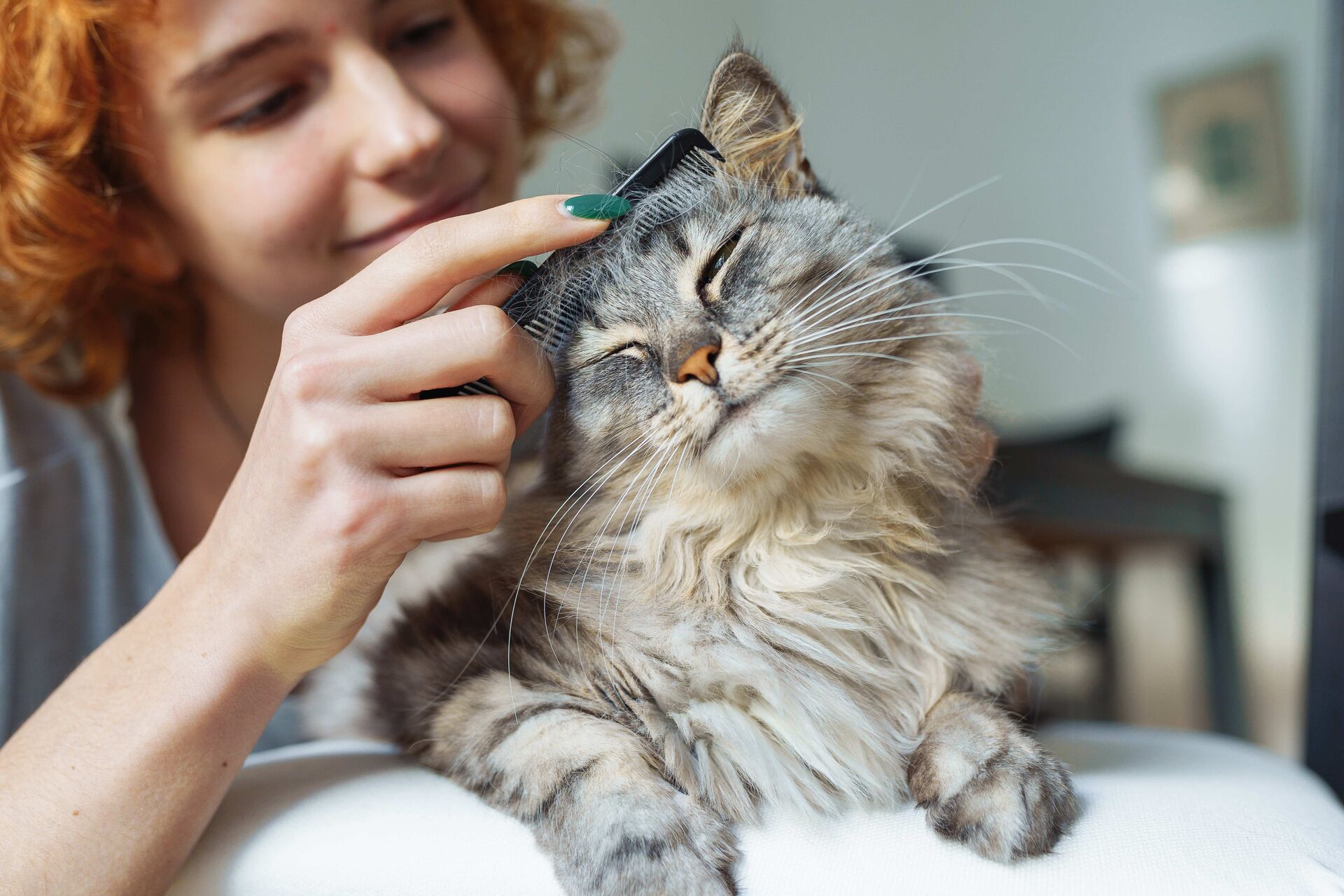 Eine Frau kämmt das Fell ihrer Katze.