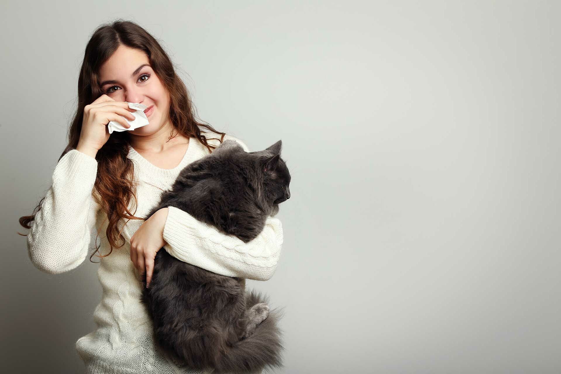 Können Katzen Krankheiten übertragen?