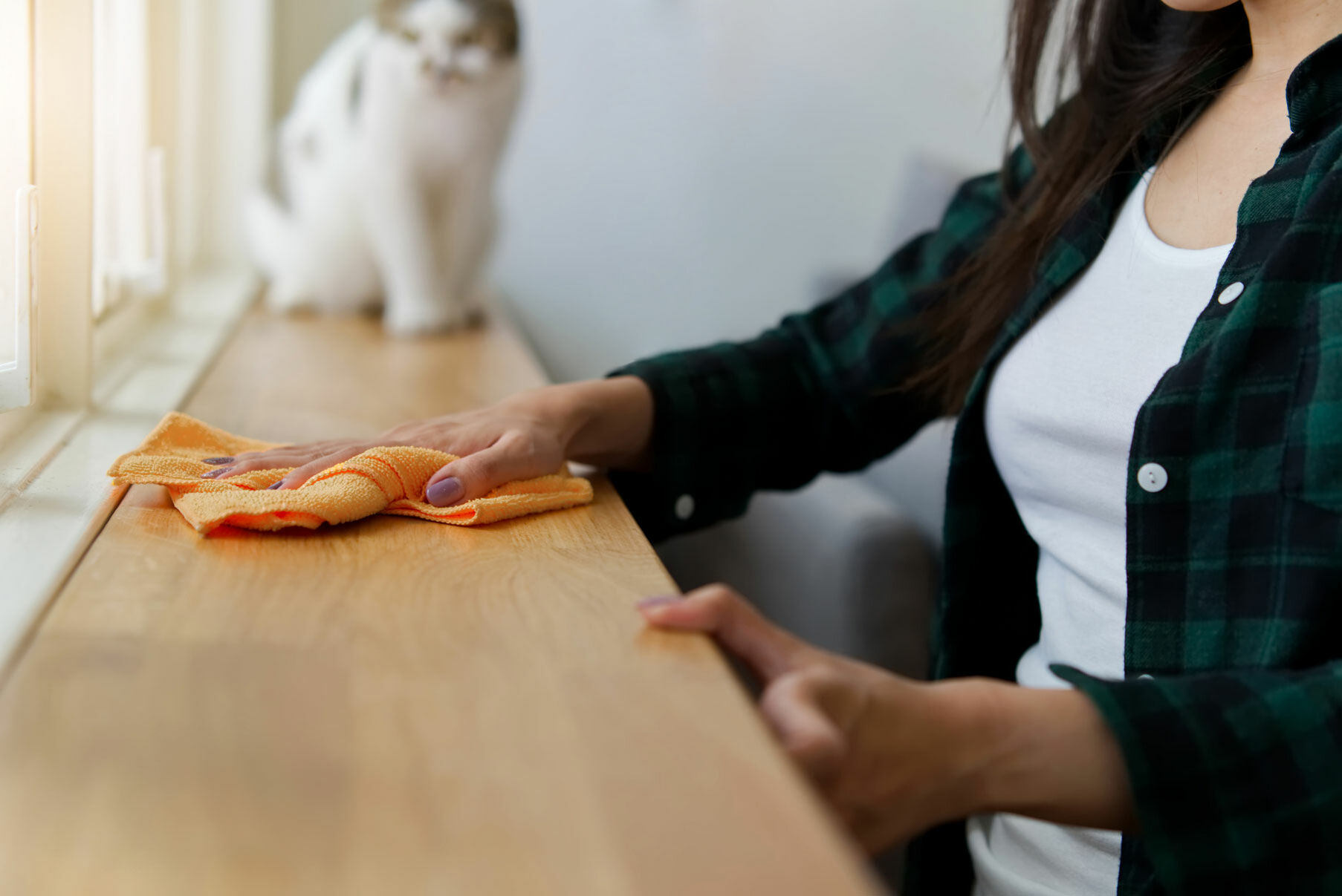 Putzen im Haushalt mit Katzen