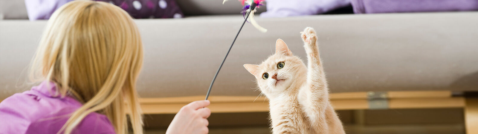 Eine Katze spielt mit ihrer Halterin.