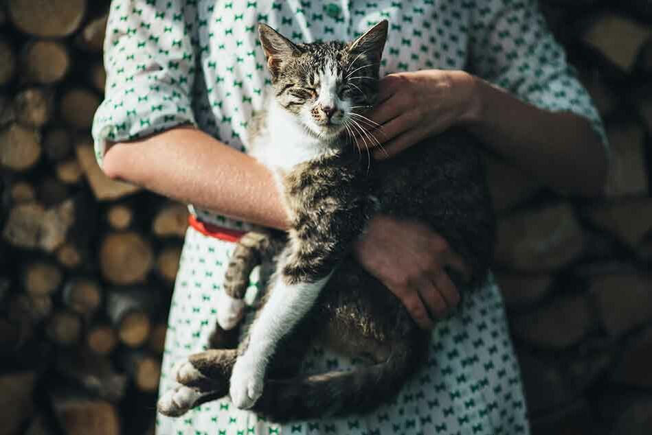 Katze liegt auf Arm eines Menschen, der vor Holzscheiten steht.