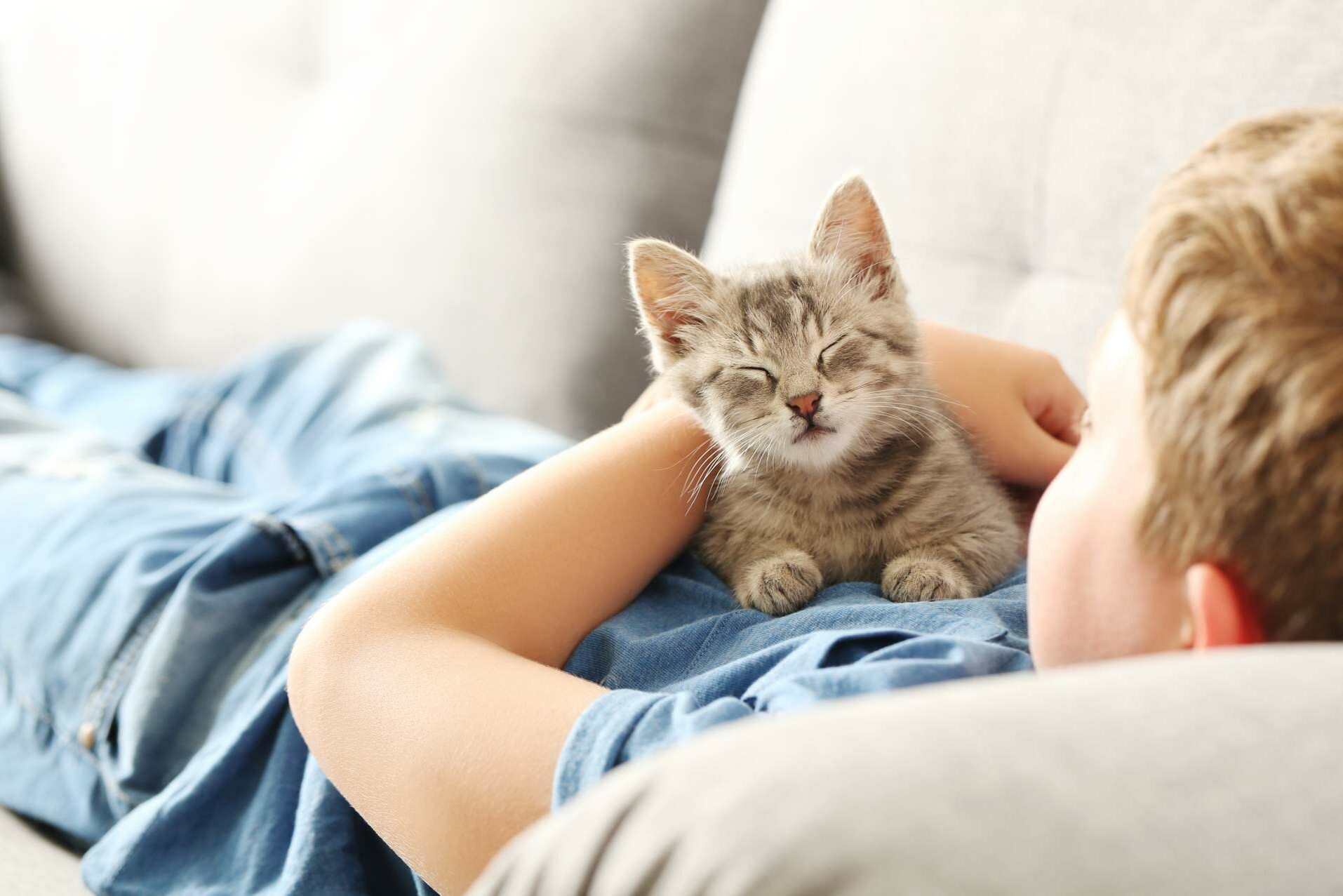 Junge liegt auf Sofa und hält eine Katze im Arm.