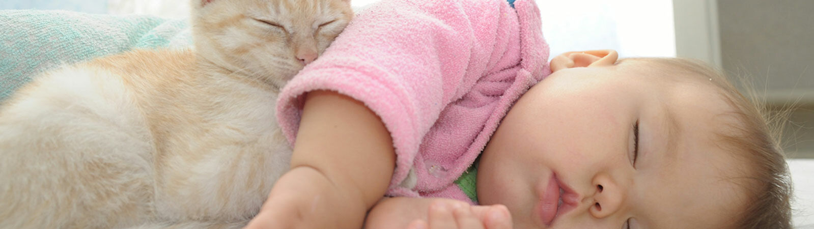 Eine Katze und ein Baby liegen schlafend nebeneinander.