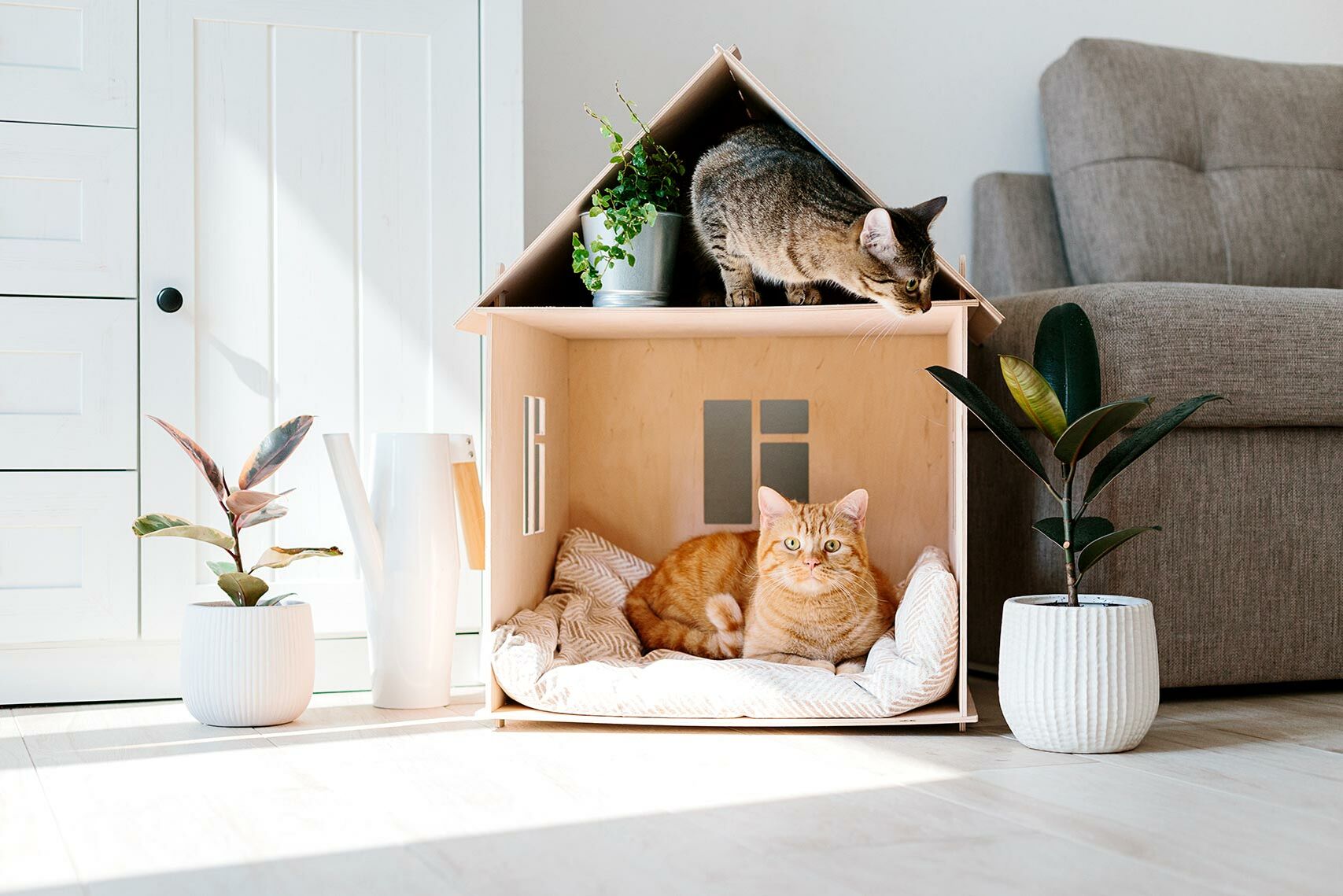 Zwei Katzen sitzen in einem kleinen Häuschen.