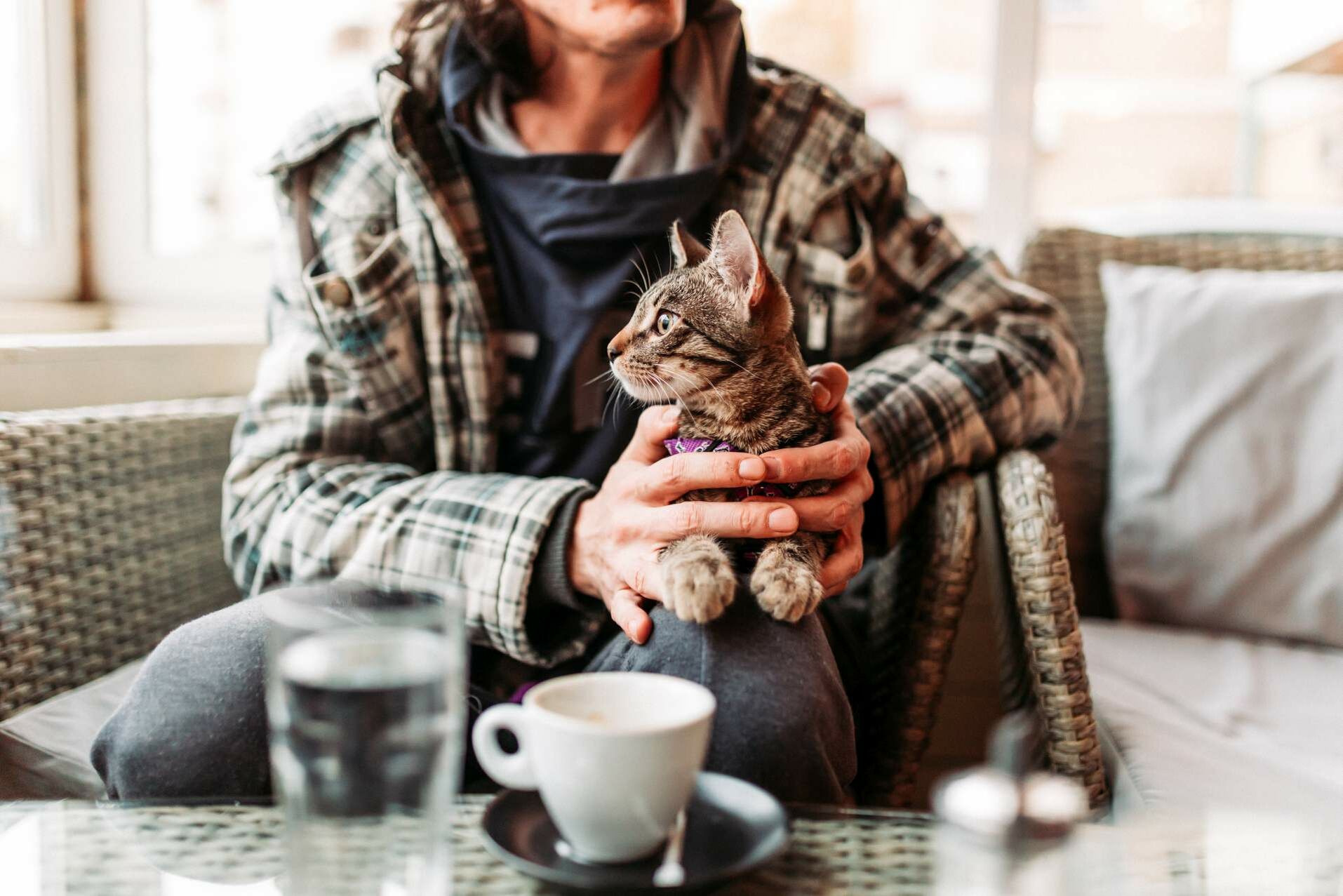 Eine Frau sitzt im Cafe hält eine Katze auf ihrem Schoß.