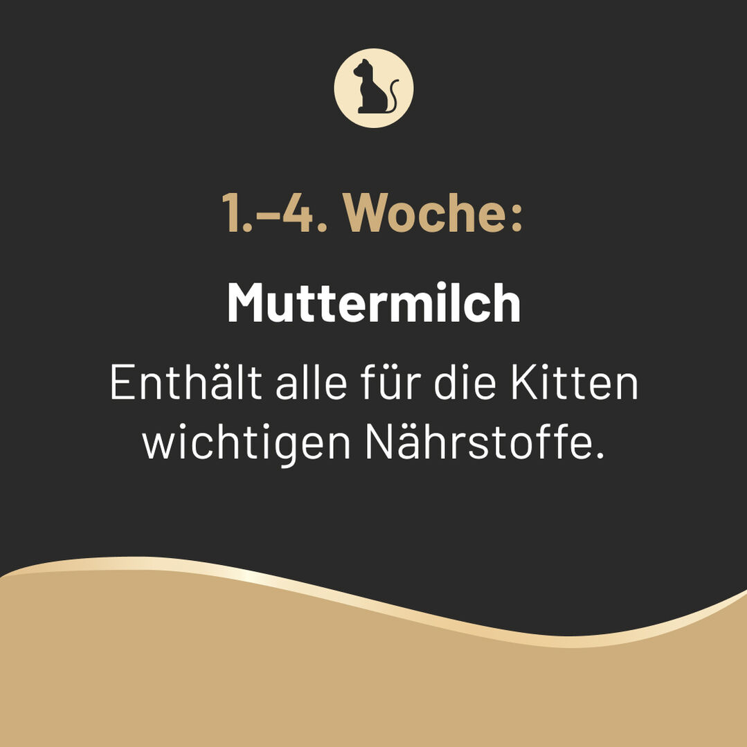 Slide 2: 1. bis 4. Woche: Muttermilch