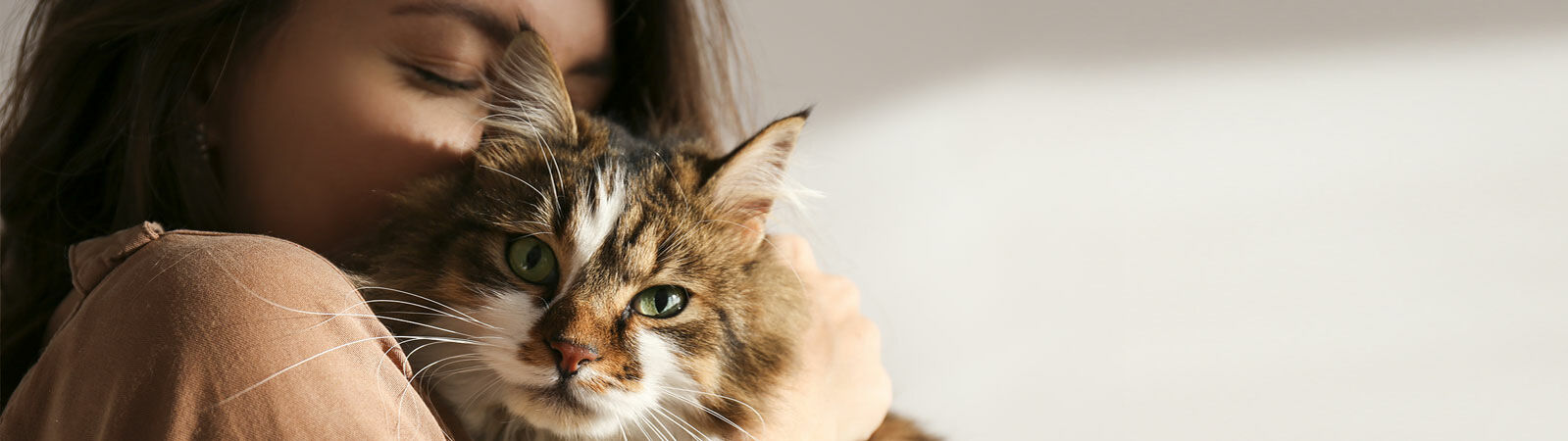 Eine Frau steckt ihre Nase in das Fell einer Katze.