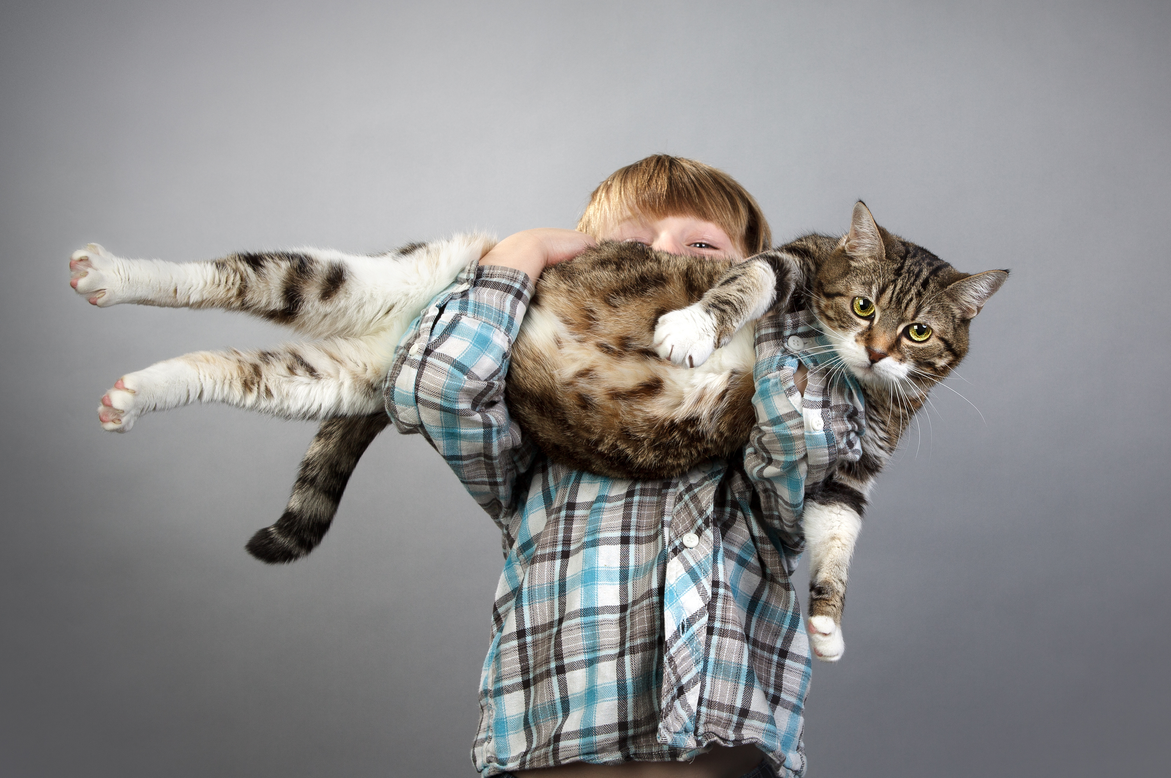 Ein Junge trägt eine große Katze auf dem Arm.