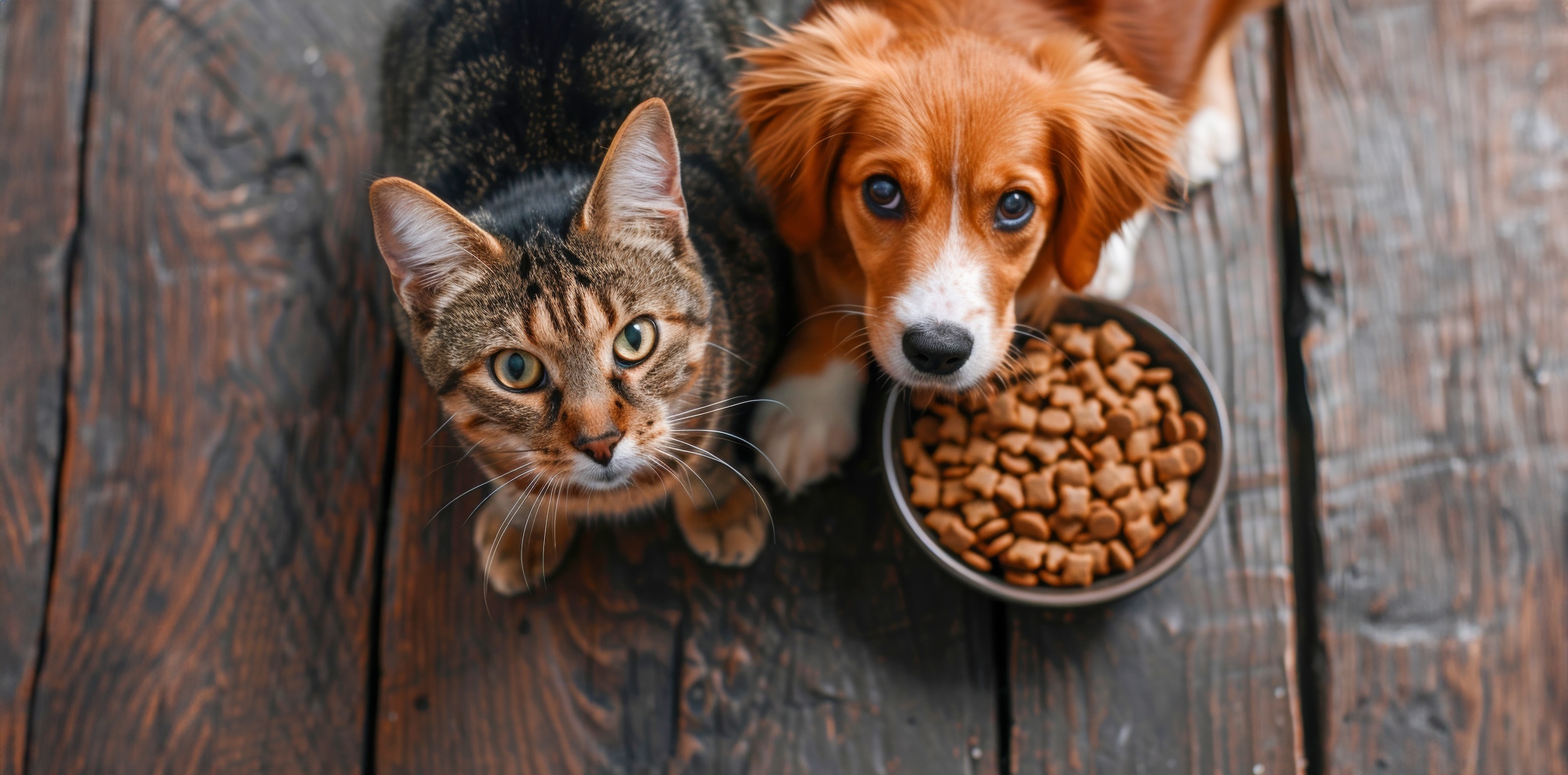 wildes land trockenfutter hund Lamm mit Reis und Wildkräutern Soft – Die Futterbar main image 1