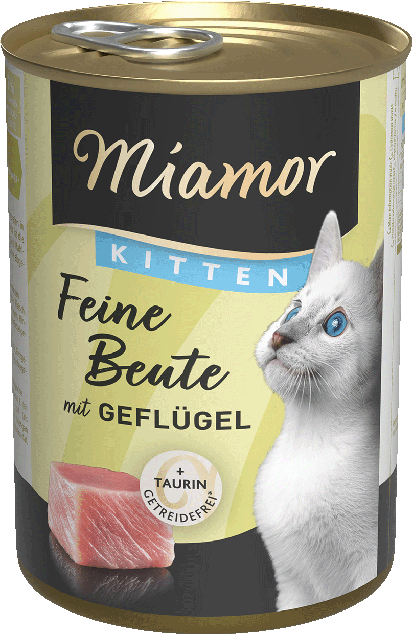 hunde nassfutter bio Bio-Lachs Nassfutter fr Hunde 800g